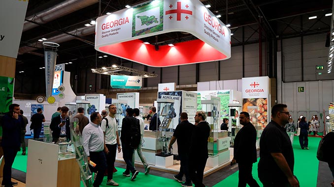 ქართული, წარმოება, მადრიდი