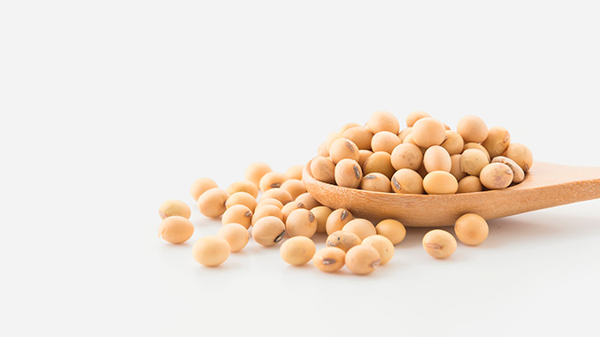 soia_chineTi_amerika_7276373782299383892893839_029093837872782883939020s სოია, აშშ, ჩინეთი