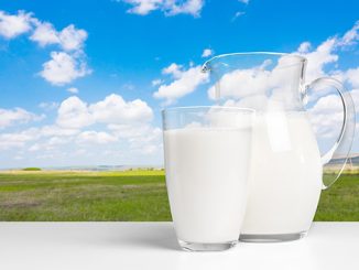 რძე, მსოფლიო