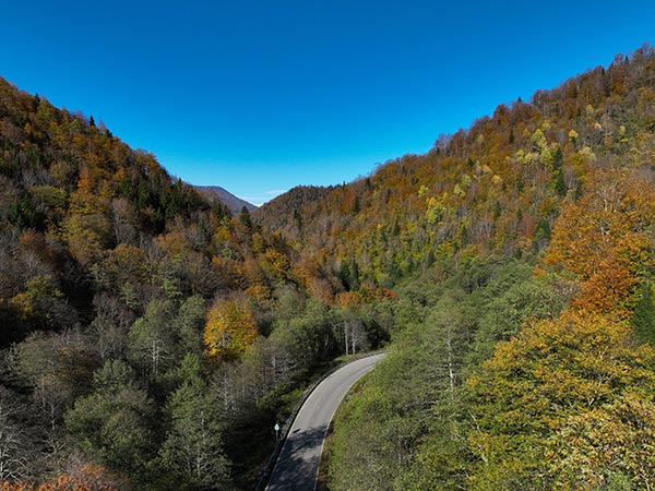 ბაღდათი, აბასთუმნის, გზა