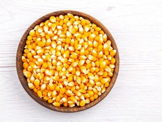 ჰიბრიდები, ყაზახეთი, საფრანგეთი