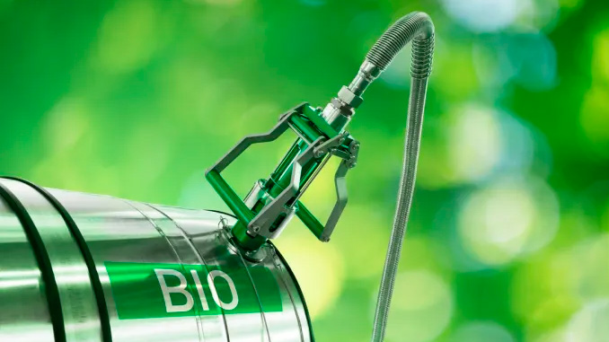 პალმის, ზეთის, იმპორტი