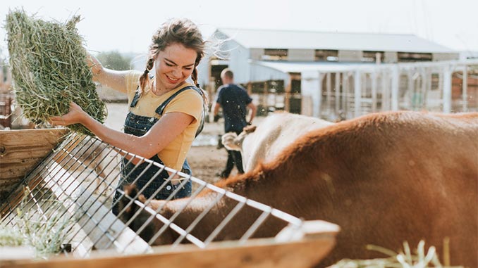 საფრანგეთი, ფერმერის, წილი