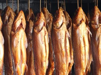 თევზის, საწარმოების, შემოწმება