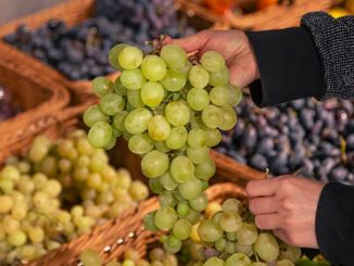 უზბეკეთი, ყურძენი, იაპონია