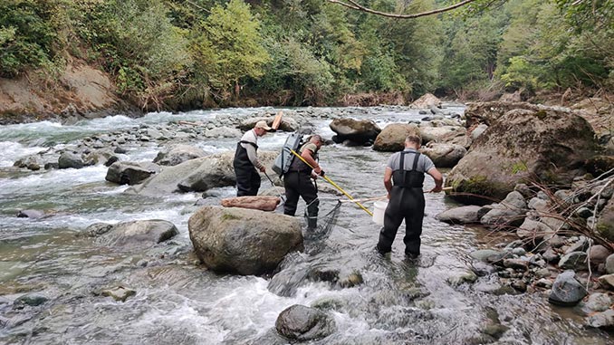 იქთიოლოგიური, მონიტორინგი