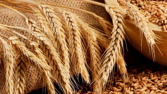 ხორბლის, იმპორტი, აზერბაიჯანი