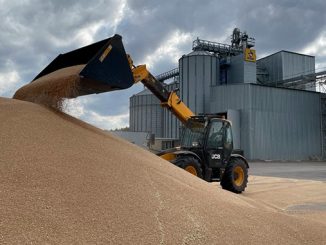 ყაზახეთი, სპარსეთის, ყურე, ექსპორტი