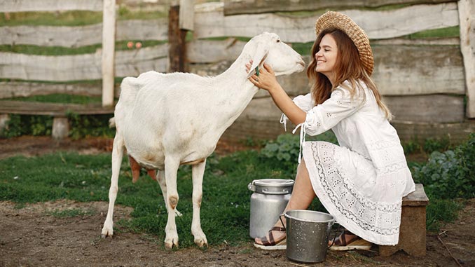 ყაზახეთი, აგრონომები