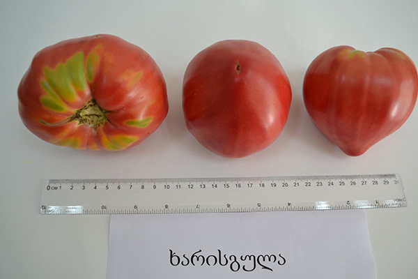 ბოსტნეული, ბაღჩეული, სელექცია