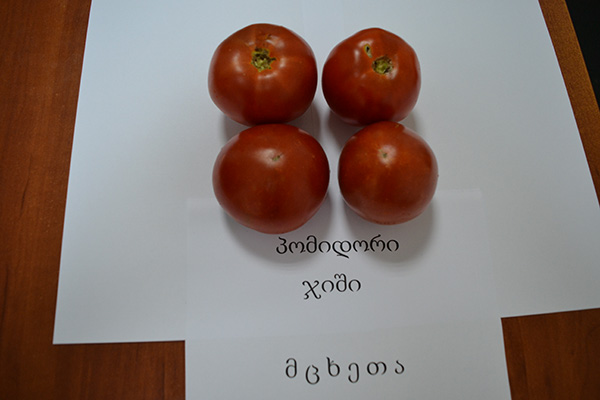 ბოსტნეული, ბაღჩეული, სელექცია