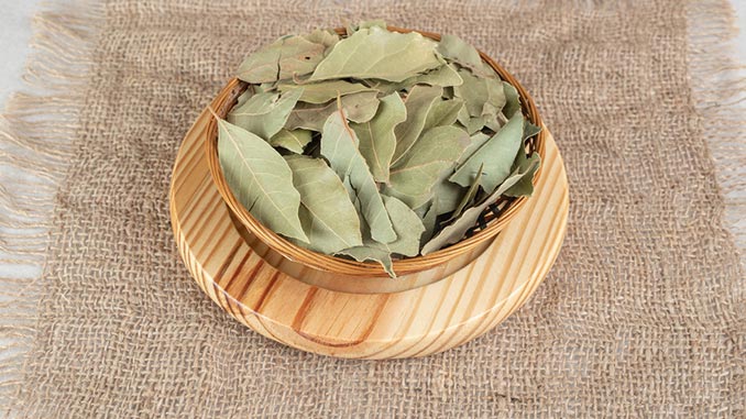 დაფნის, ფოთოლი, ექსპორტი, საქართველო