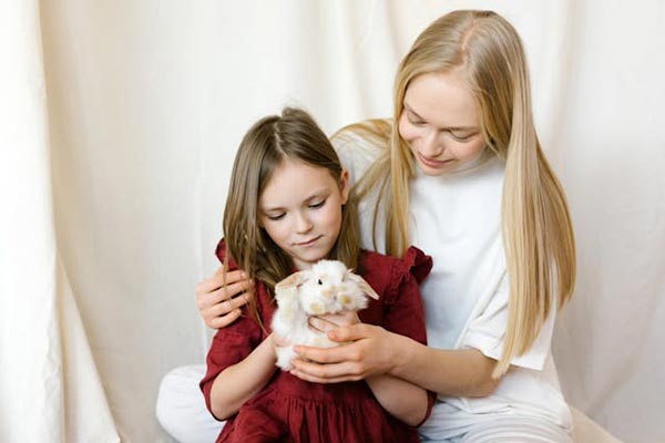 დეკორატიული, კურდღელი, ბიზნესიდეა