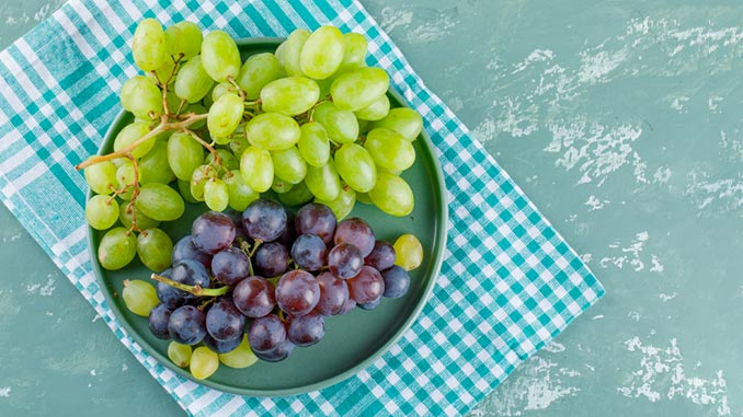 ეგვიპტე, აგროექსპორტი