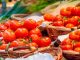 პომიდორი, აზერბაიჯანი, ექსპორტი