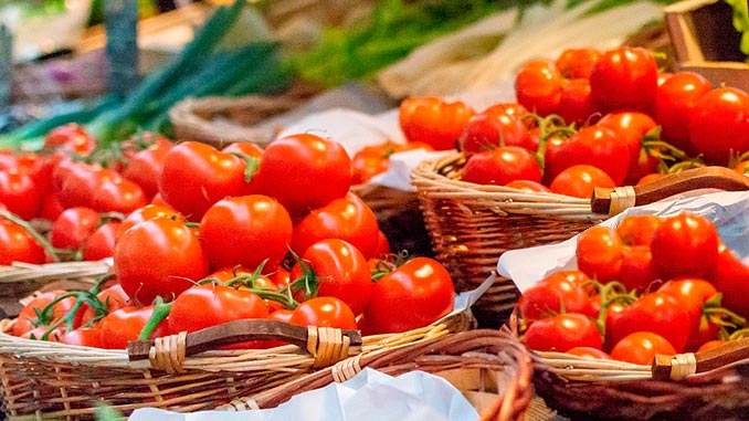 პომიდორი, აზერბაიჯანი, ექსპორტი