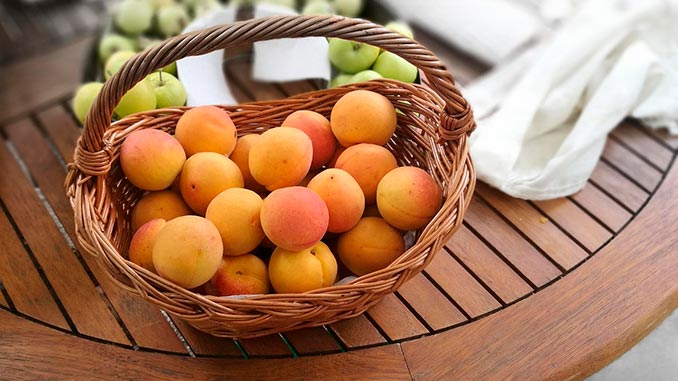 გარგარი, თურქეთი, კავკასია