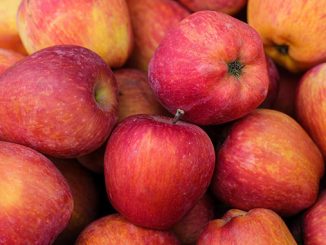 ირანული, ვაშლი, ინდოეთი