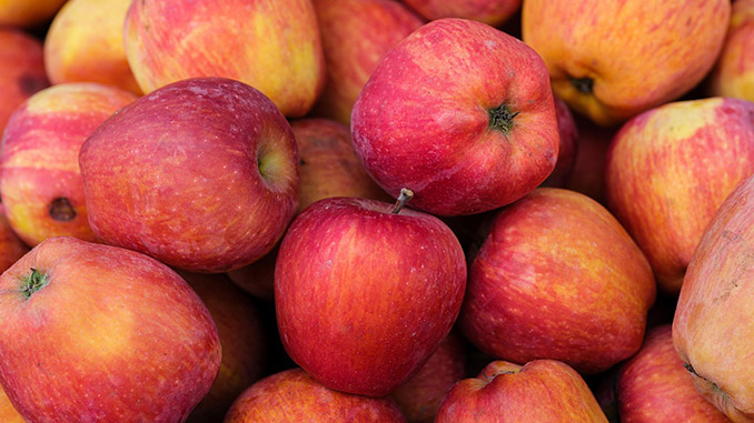 ირანული, ვაშლი, ინდოეთი