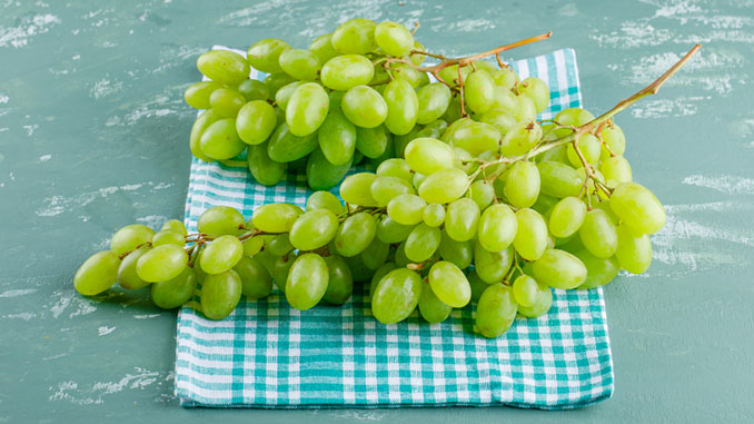 სუფრის, ყურძენი, იტალია