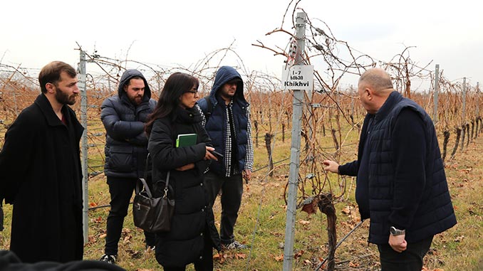 ჯიღაურას, ბაზაზე, სემინარი