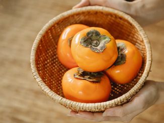 ხურმა, კარალიოკი, ექსპორტი