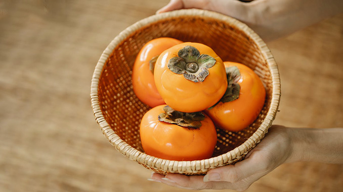 ხურმა, კარალიოკი, ექსპორტი