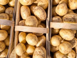 უკრაინა, კარტოფილი, კვლევა