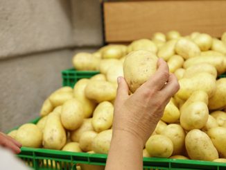 კარტოფილი, საცავი, უკრაინა