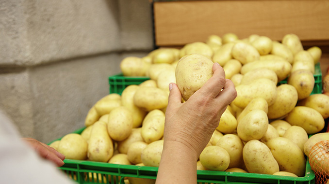 კარტოფილი, საცავი, უკრაინა