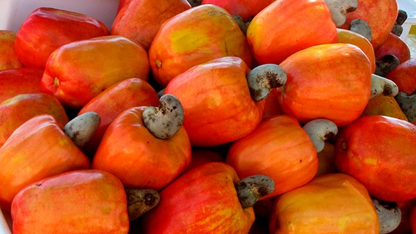 კეშიუ, იმპორტი, აზერბაიჯანი