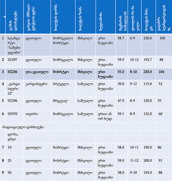 ხახვი, ჯიშები, კვლევა