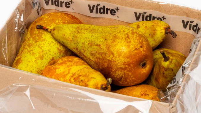 მსხალი, შენახვა