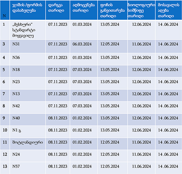 ნიორი, ჯიშები, კვლევა