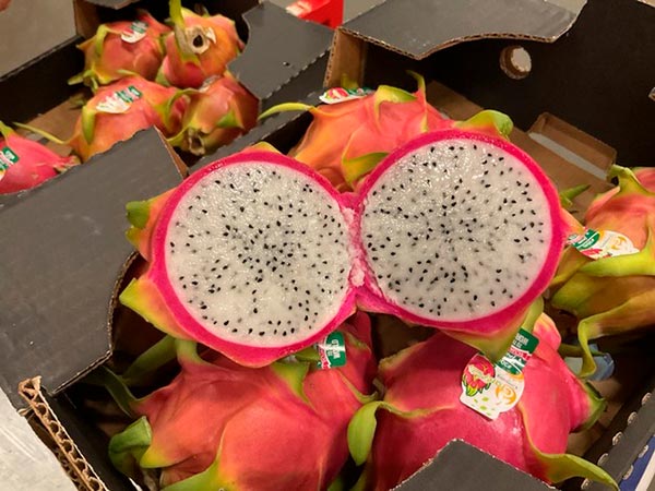 პიტაჰაია, დრაკონის, ხილი