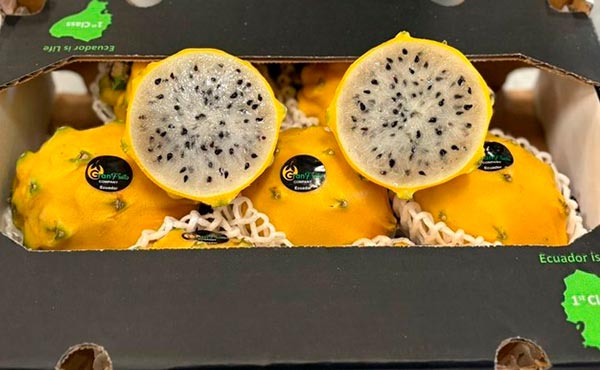 პიტაჰაია, დრაკონის, ხილი