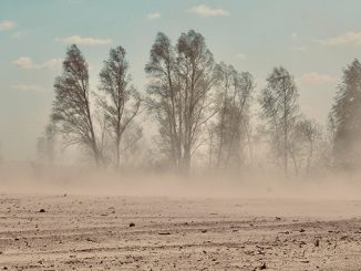 ქვიშა, მტვერი, ქარიშხალი