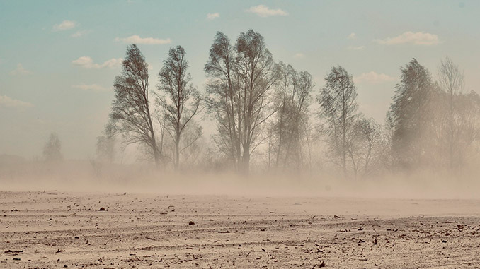 ქვიშა, მტვერი, ქარიშხალი