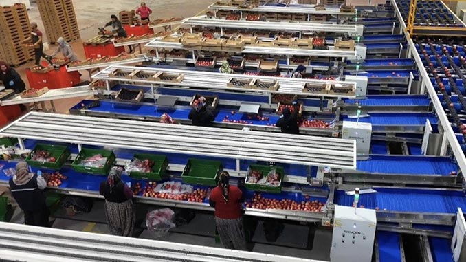 ორგანული, წარმოება, თურქეთი