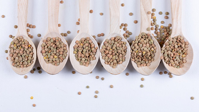 ოსპი, ცერცვი, ცულისპირა