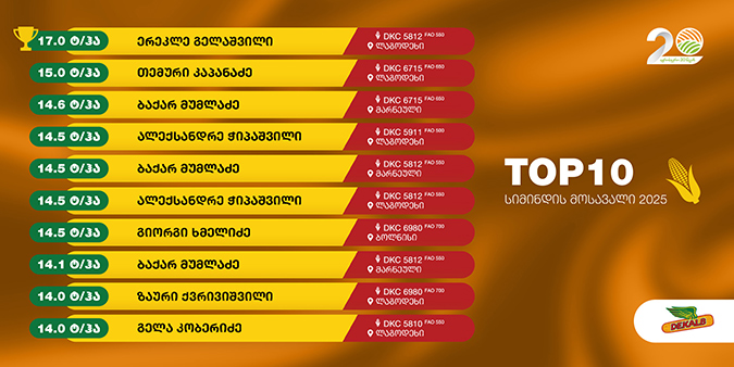 სიმინდი, ტოპ, 10