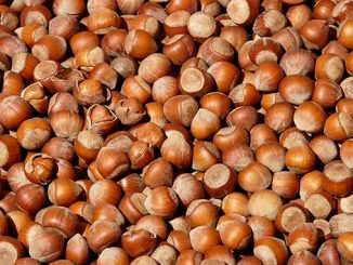 თხილი, ექსპორტი, საქართველო