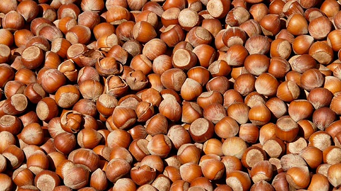 თხილი, ექსპორტი, საქართველო