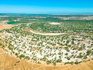 ჩინეთი, უდაბნო, აღდგენა