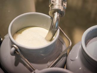 რზის, წარმოება, ევროპაში