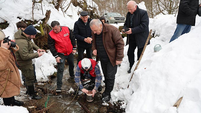 ნაკადულის, კალმახი, ლეჩხუმი