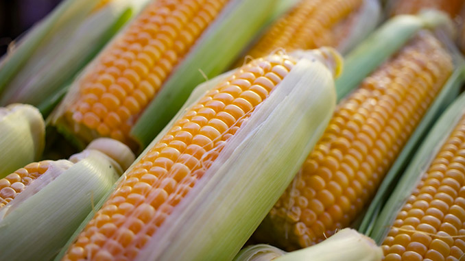 მარცვლეული, ჩინეთი