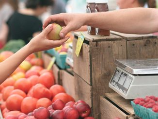 თურქეთი, ექსპორტი, შემცირდა