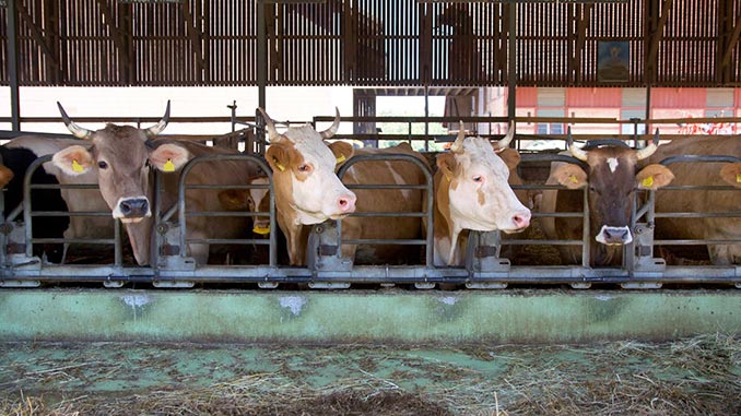 მილიარდი, ინვესტიცია, უკრაინა