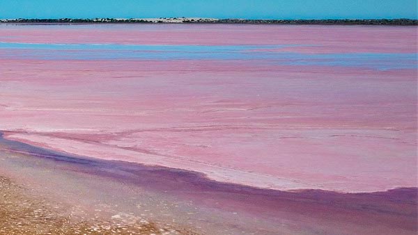 ავსტარალია, ვარდისფერი, ტბები